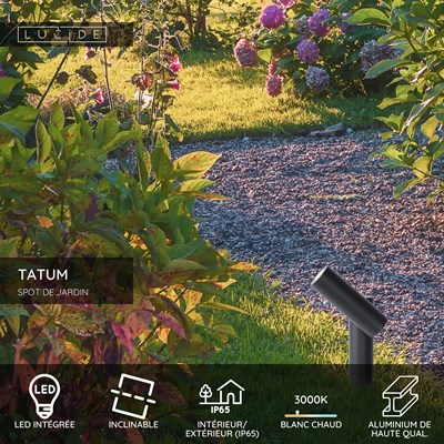 Lucide TATUM - Spot de jardin - LED - 1x4,5W 3000K - IP65 - Anthracite